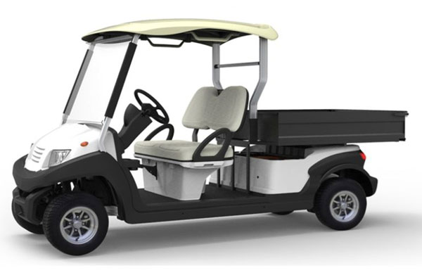 Xe ô tô điện chở hành lý 2 chỗ Eagle EG204AHCX02