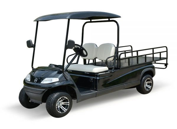 xe điện chở hàng sân golf thùng lửng 2 chỗ