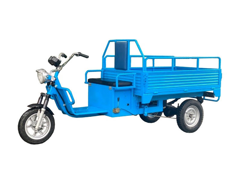 Xe điện 3 bánh chở hàng EV X3