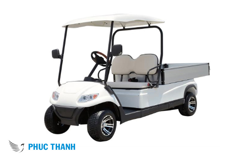 xe dien cho hang sieu thi la gi