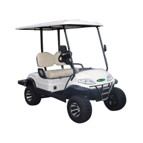 Xe điện sân golf 2 chỗ LVTONG