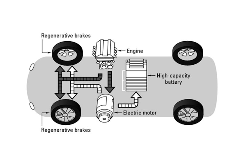 Phan tái sinh là gì?
