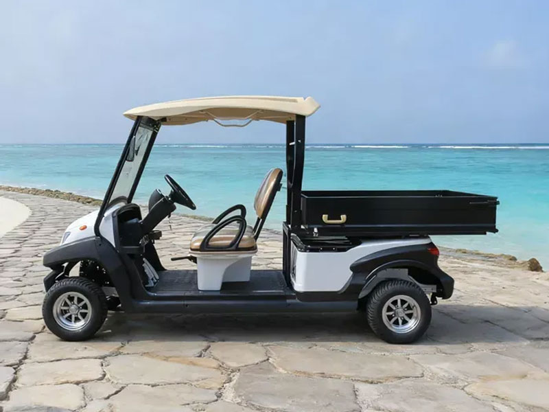 xe dien cho hang eagle