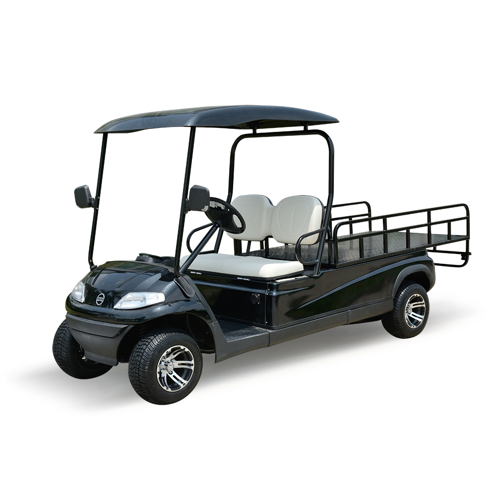 Xe điện chở hàng LT-A627.2.H8